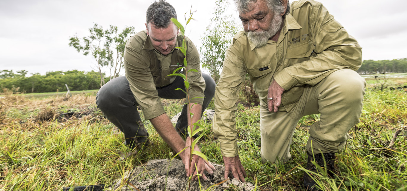 Greening Aus